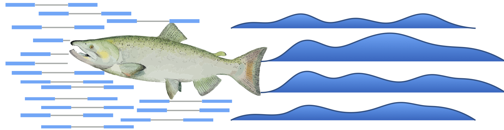 salmon bias hypothesis definition